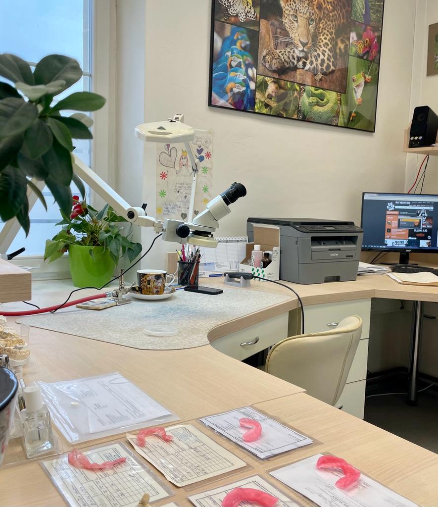 Práce pod mikroskopem je už pro nás běžný standart